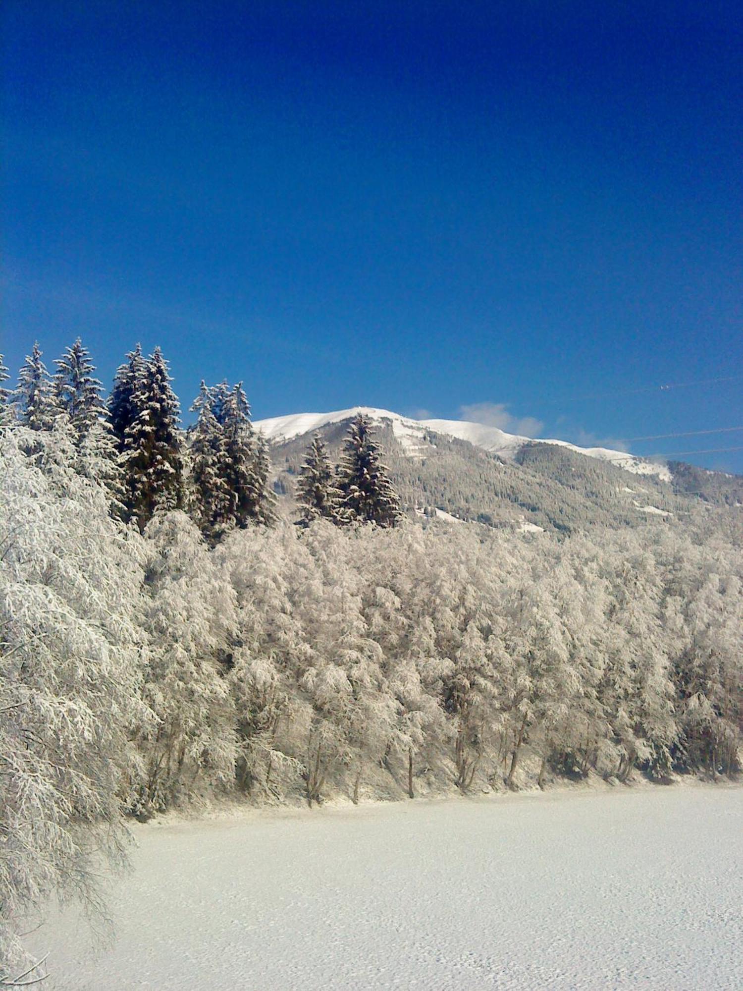 Appartement Wildkogel Neukirchen am Großvenediger Exterior foto