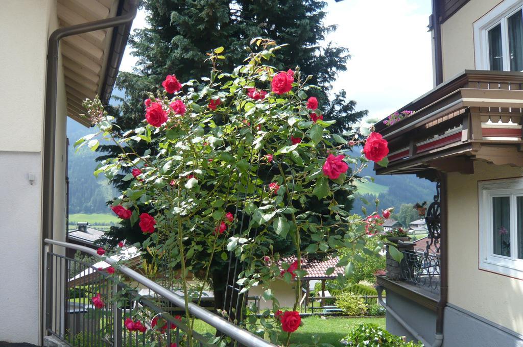 Appartement Wildkogel Neukirchen am Großvenediger Exterior foto