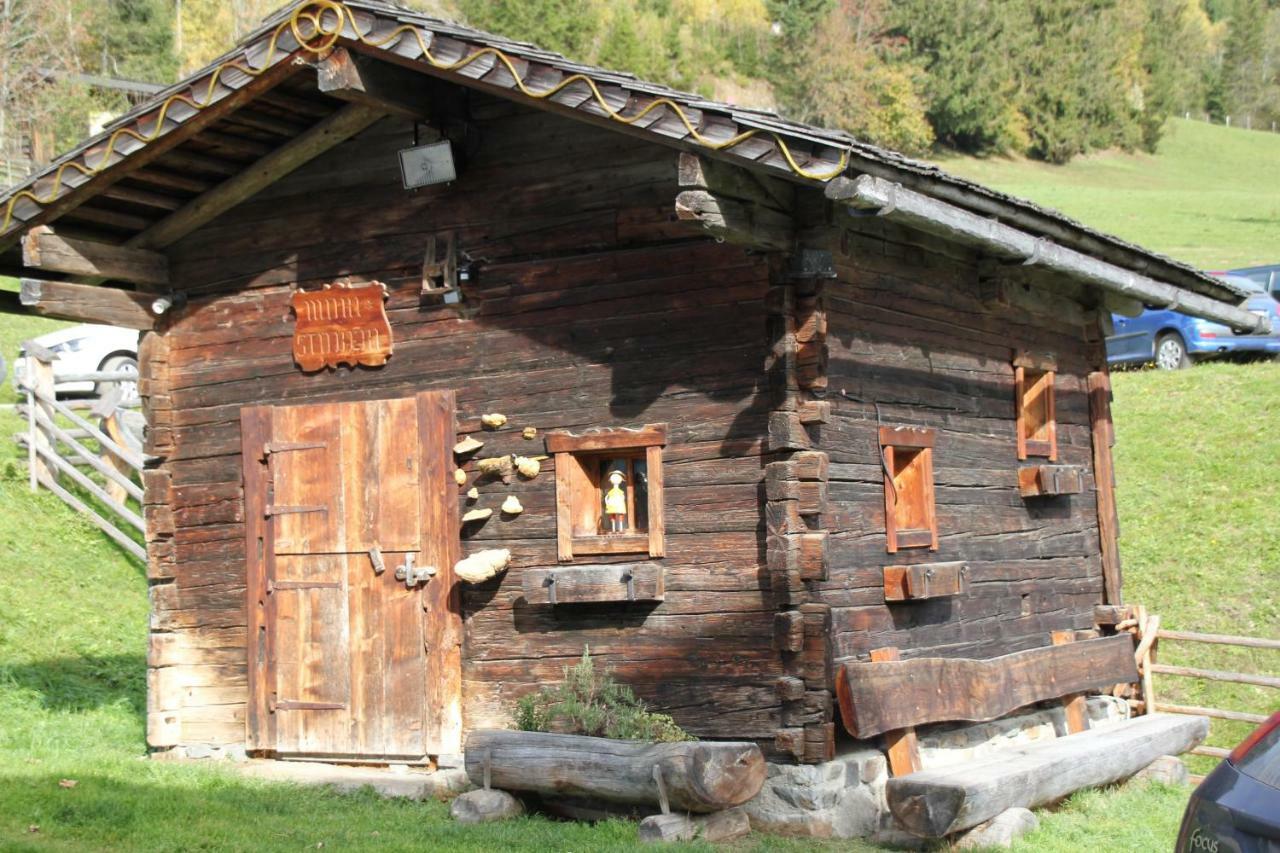 Appartement Wildkogel Neukirchen am Großvenediger Exterior foto
